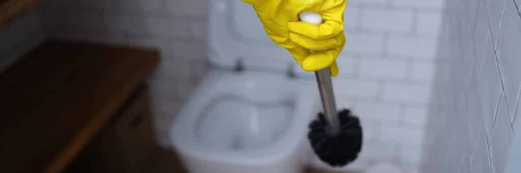 Next time you'll have fun cleaning your toilet - Hygienedunia