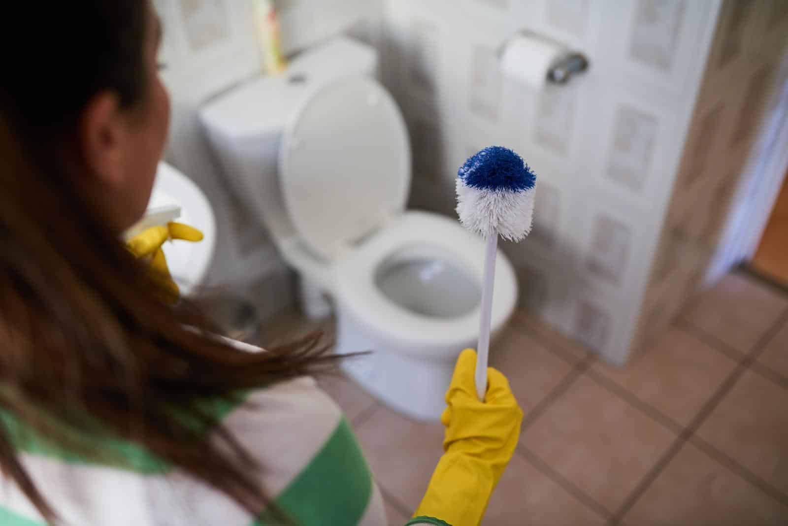 Tips and Precautions during toilet cleaning - Hygienedunia Blog