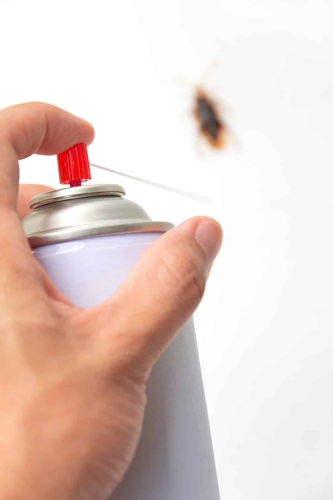diy pest control sprayer - hygienedunia blog