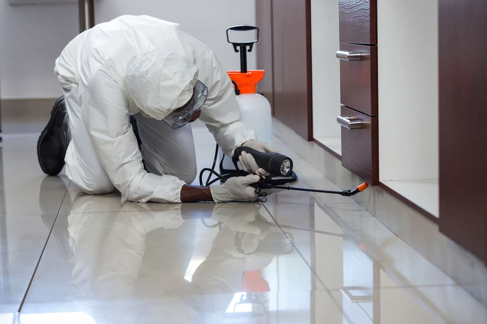 how to identify the right pest control company - hygienedunia blog